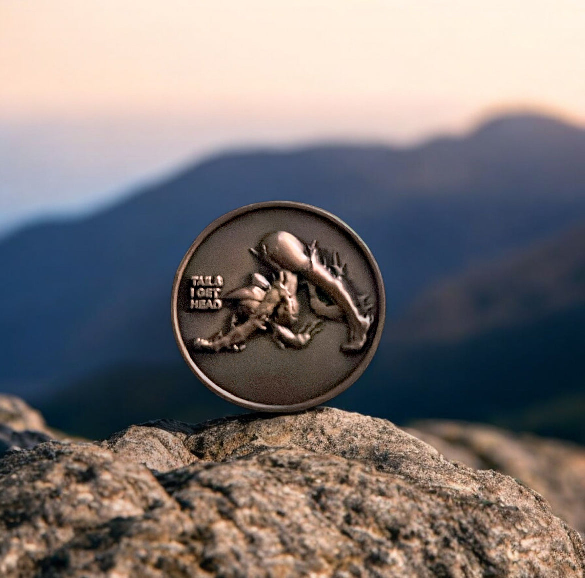 Anime joke coin